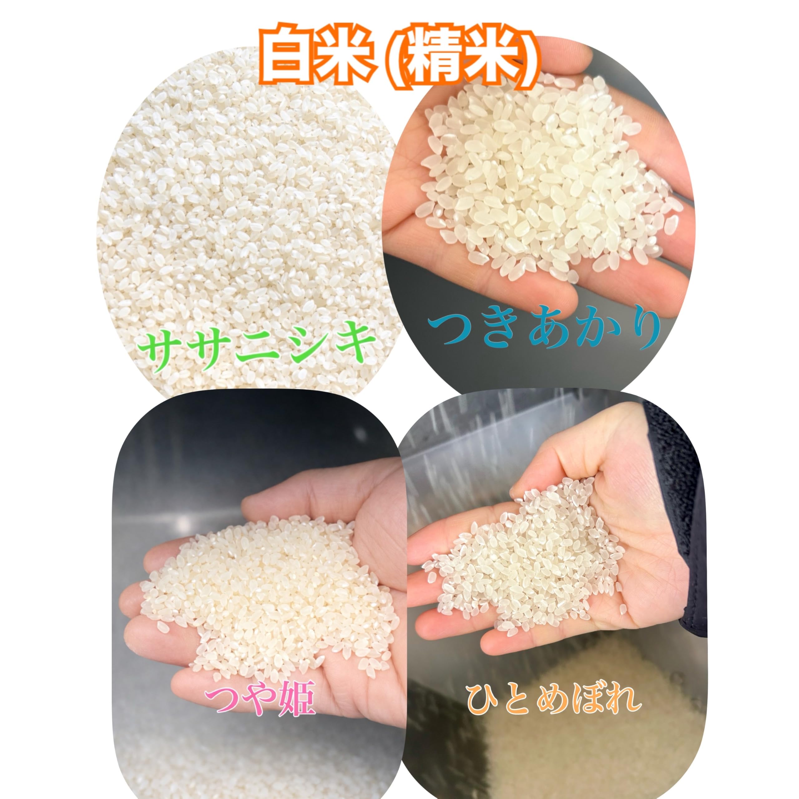Amazon.co.jp: 令和7年産 宮城県産 登米市産 ひとめぼれ 白米 (10kg